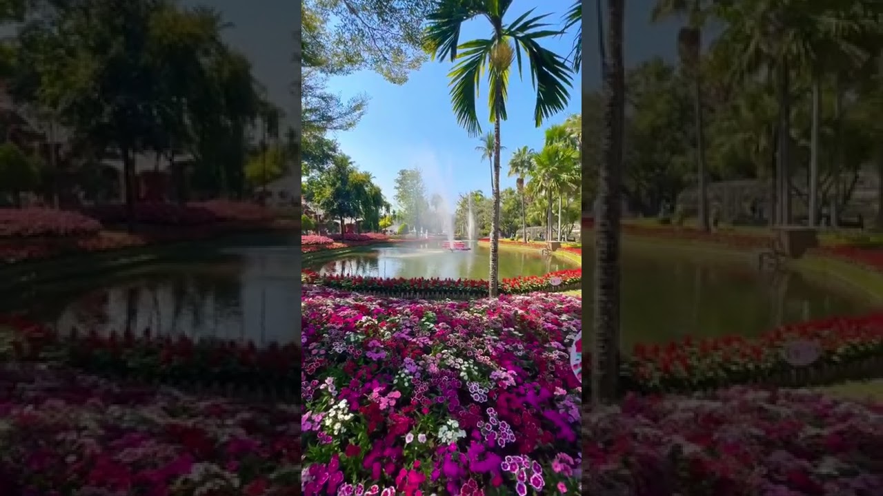 YouTube Short thumbnail