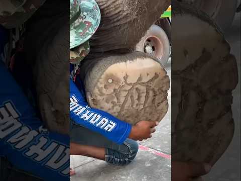 #toc