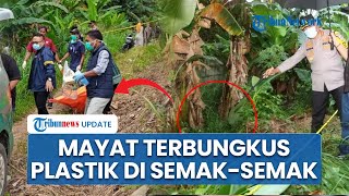 Penemuan Jasad Membusuk Terbungkus Plastik di Kebun Pisang Cikupa, Polisi Selidiki Dugaan Kekerasan