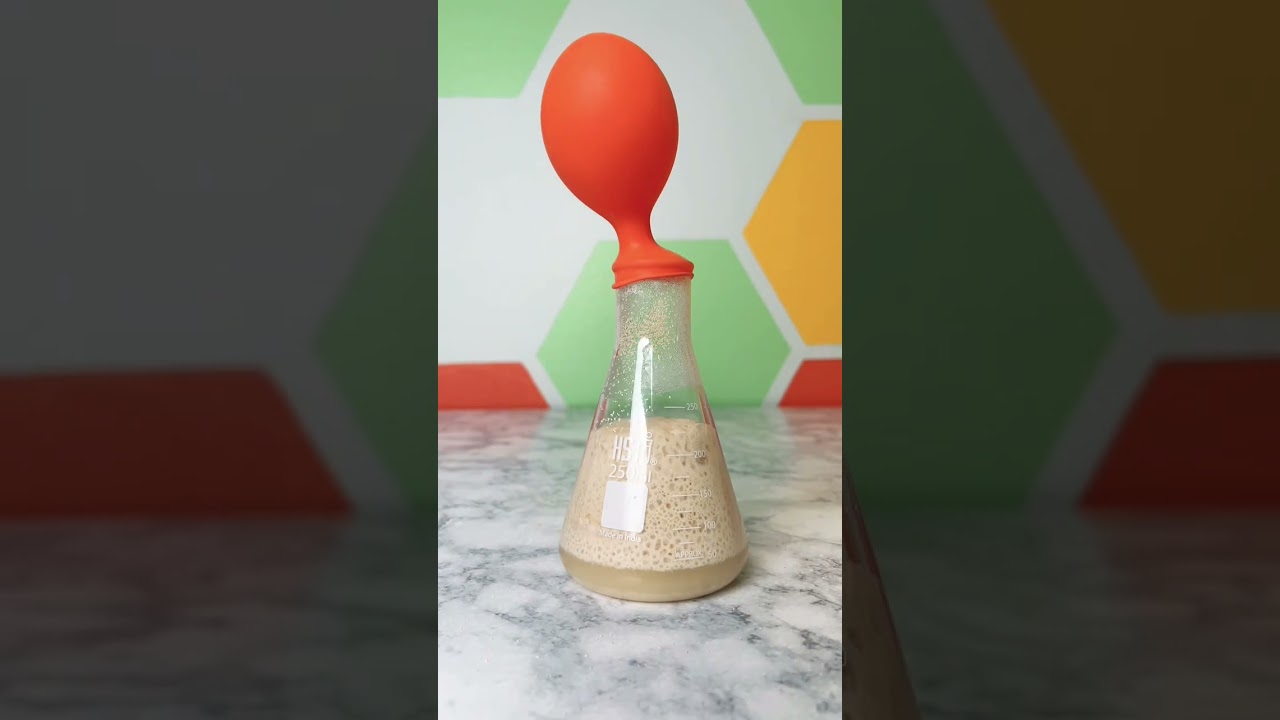 Fermentation Chemistry Science Experiment