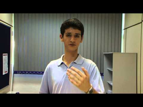 Argumentações - Victor Rorato