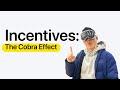 Weird Incentives, The Cobra Effect