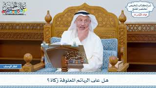 1823 - هل على البهائم المعلوفة زكاة؟ - عثمان الخميس