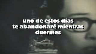 Born on a Train - The Magnetic Fields (sub español)
