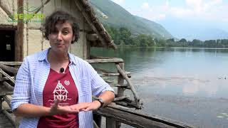 inVENETO - Puntata 5 - Le colline del Prosecco DOCG