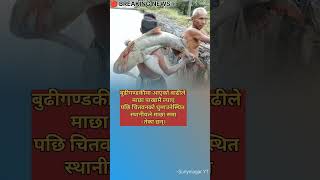 Download lagu बाढीले पाखामै ल्यायो माछा! 😲 स्थानीयले धमाधम समाते mp3