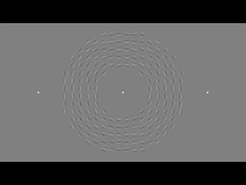 Motion Perception: From Detection to Interpretation: Supplemental Video 2