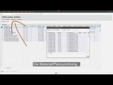 SAP QM - Massenpflege Material- Planzuordung