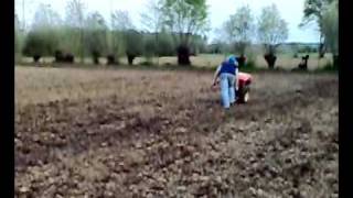 Semina mais su fango con Valpadana verto