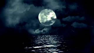 Dream Catcher by The Lounge OrFanZ