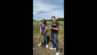 Paradigm pre-seed trial