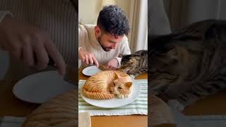Cat Got Scared When Owner Cut the Cat Cake! 🎂🐾#CatReaction #FunnyCat #CatCake #ViralCats
