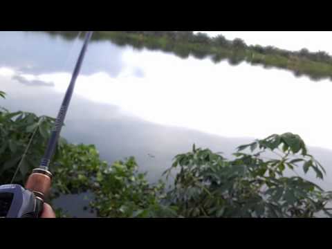 Shimano Aldebaran BFS XG -DUO Tetra Works Yurameki 6.5g Long Cast