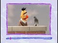 Elmo S World Birds Email