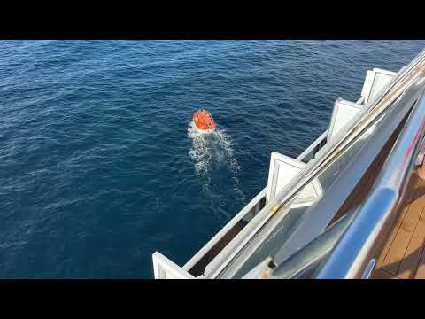 Man Overboard On Our Family Cruise A Complete Breakdown Of What Happened 