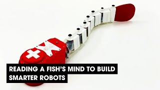 Podcast: Reading a Fish's Mind to Build Smarter Robots