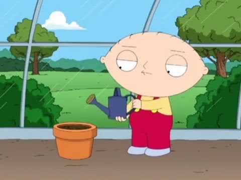 Family Guy - Stewie Griffin, Everything I Do I Do It For You