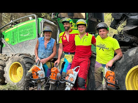 Florian Andreas - Timberjack (Offizielles Musikvideo) mit Timberteam Giacomelli