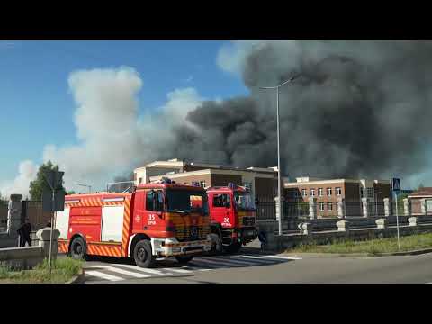 BBC One Minute World News