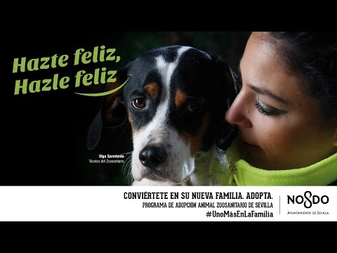 El Ayuntamiento pone en marcha una campaña de concienciación ante el abandono animal