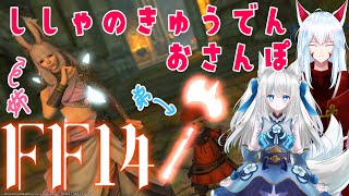 【 #FF14】姉弟コラボ！梅雨前にDD死者の宮殿見に行く【Vtuber狐狐音の前】
