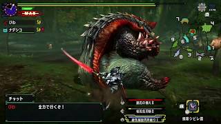【MHXX】モンハンXX G級新米ハンターのまったり特殊許可クエストLive