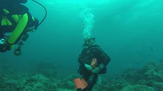 GOPR0731