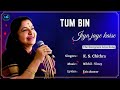 Tum Bin Jiya Jaye Kaise Lyrics K S Chithra Tum Bin 90s Hits Love Romantic Songs
