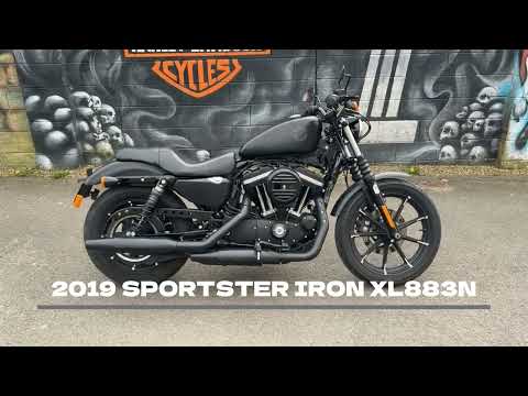 Harley-Davidson Sportster Iron XL883N - Image 2