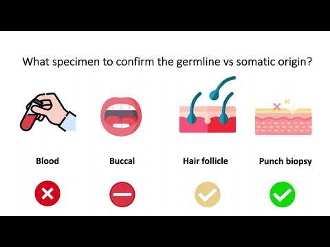 Reporting deleterious germline variants in hematological disorders: fr where to start? Saeed Alturki