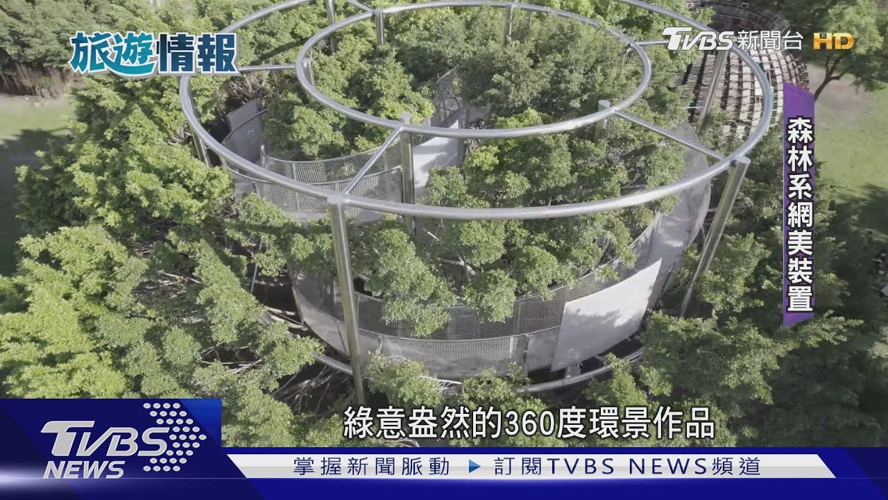 駁二深度之旅!「網美樹」必拍 達人帶走讀、體驗親子手作