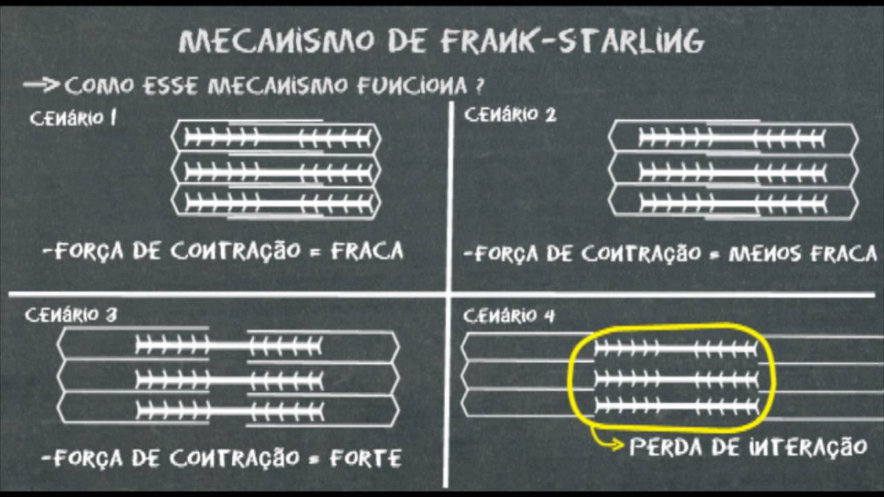 Mecanismo de Frank Starling