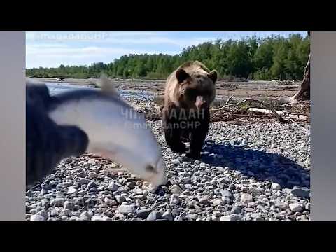 Народный патруль 11.08.2026