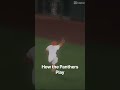 How a Panther Plays