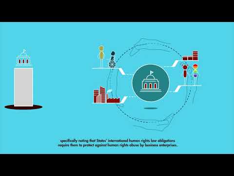 Guiding Principles on Business and Human Rights (UNGPs)