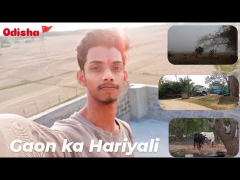 ​City Life se Door: Gaon mein Masti 🗺//odisha 🛕// Holi ka avsar  🚩//Andaman 
