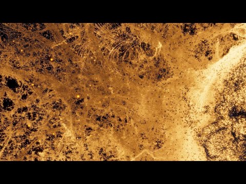 Nature Scan Special: The Fiery Tree