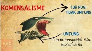 Hubungan Antar Makhluk Hidup (SIMBIOSIS)- Simbiosis mutualisme, Komensalisme, dan Parasitisme