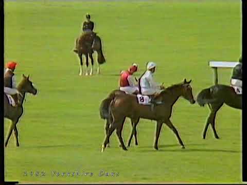 1982 Yorkshire Oaks Awaasif Includes Replay & Enclosure