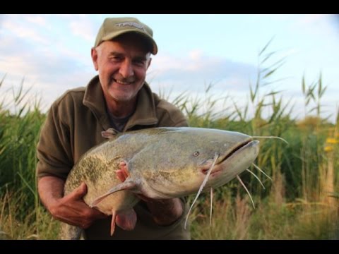 Mick Brown fisker efter maller