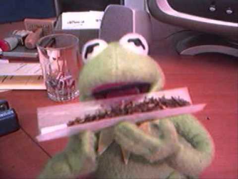 SESION TRIBUTO ROCKOLA