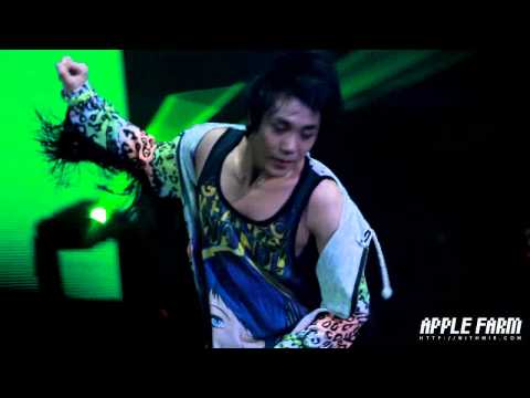 MIR - Wild & 미쳐볼래 Preview