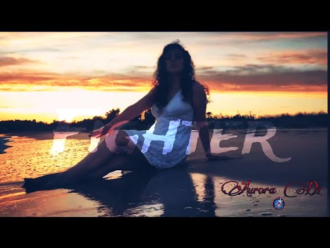 Fighter -Aurora D1 cover