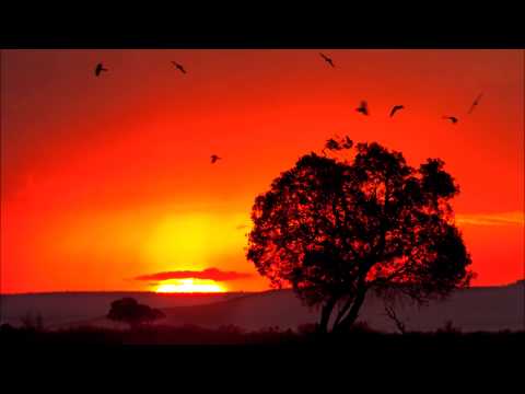 DJ Merlon Feat. Black Motion & Mondli Ngcobo - Tale Of The Monkeys