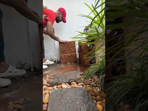 Part 2 Garden makeover #houseplant #home #gardendesign