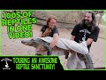 TOURING AN AWESOME REPTILE SANCTUARY! TOURING AN AWESOME REPTILE SANCTUARY!