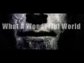 What A Wonderful World (cover by Leo Moracchioli ...