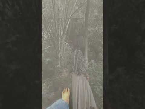 Caught A Long Wind - Feist