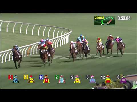 28/4/2021 (624) Family Folks - A Hamelin