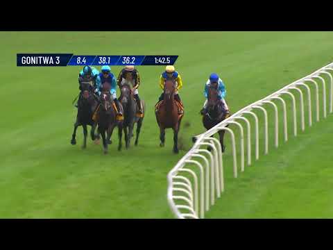 Kurozwęk Award - (cat. B) - 14/09/2025